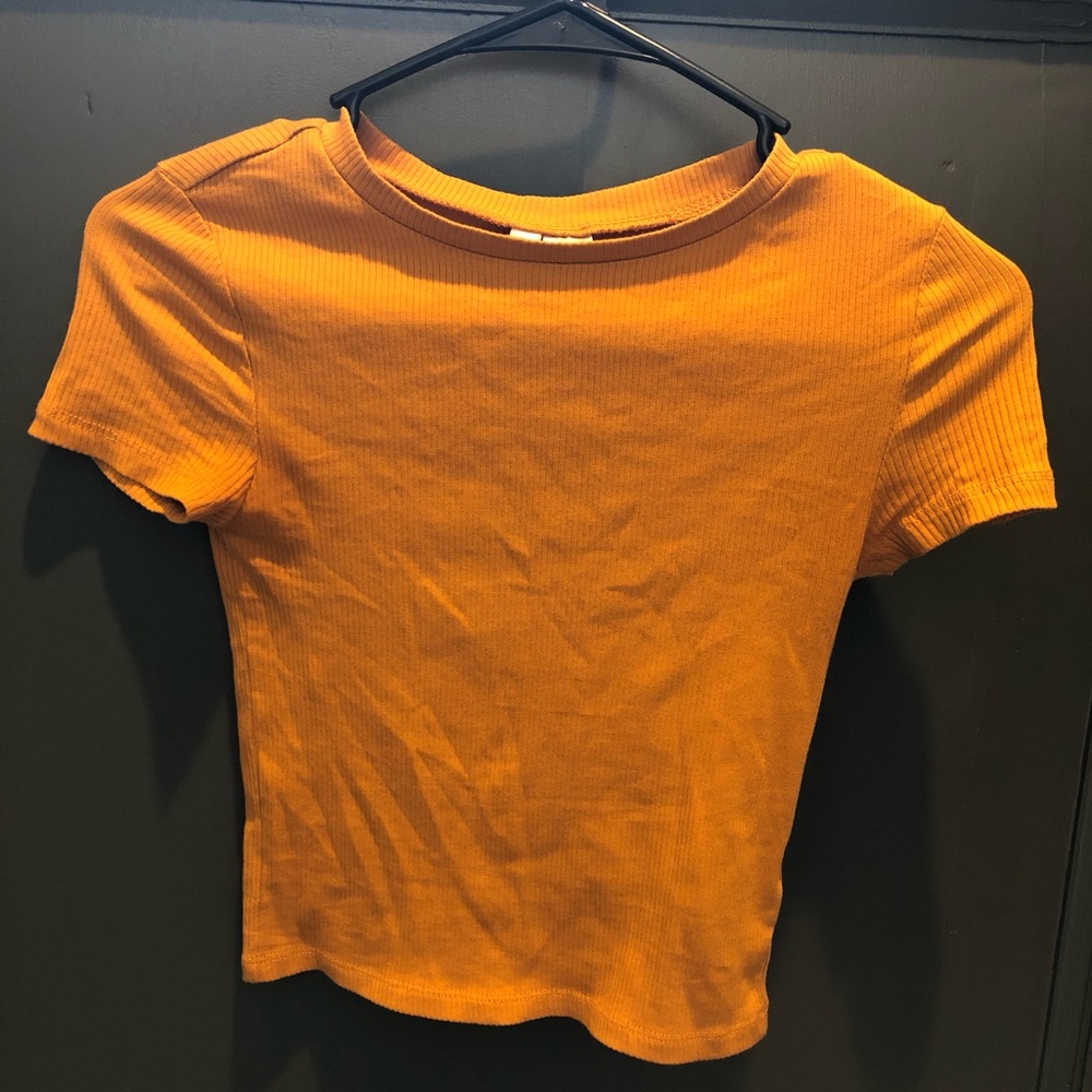 H&M burnt orange crop top!